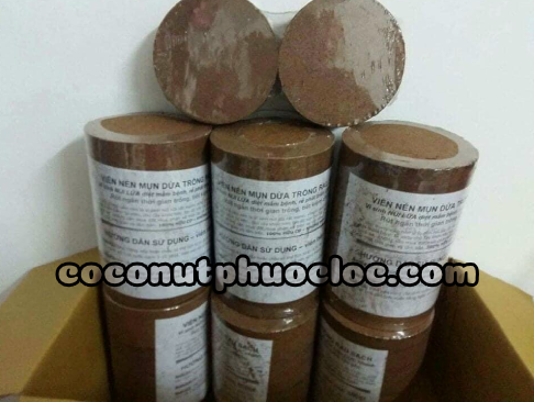 Mụn dừa ép bánh
